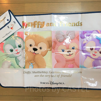 ディズニー女子のデートの日の持ち物リスト