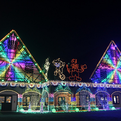 東京ドイツ村イルミネーション
