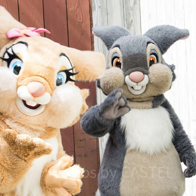 とんすけとミス・バニー