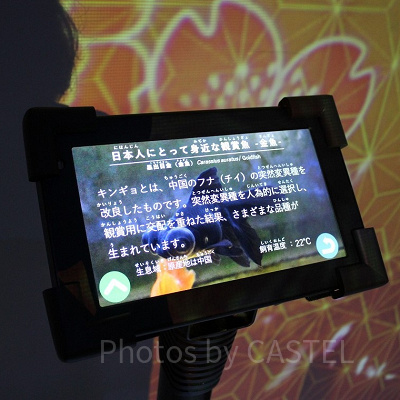 タッチパネル式のデジタル種名板