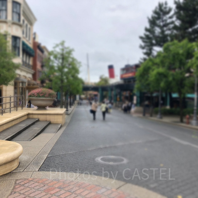 メディテレーニアンハーバーの混雑状況