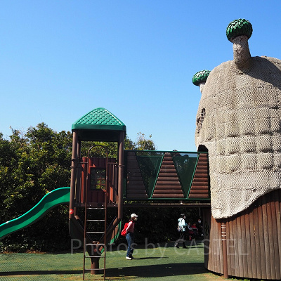 木のようなコンビネーションアスレチック