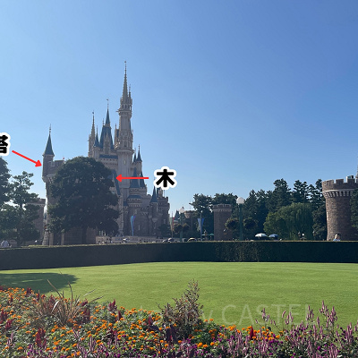 視界を遮るシンデレラ城前の木や塔