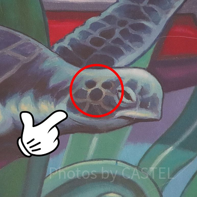 カメの模様の中に隠れミッキー