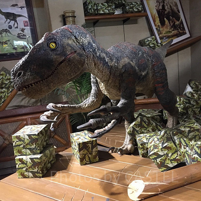  USJの恐竜グッズ専門ショップ：ジュラシック・アウトフィッターズのラプトル