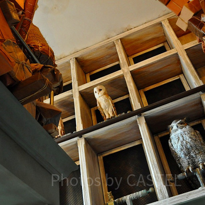 USJ／ハリーポッターエリア「フクロウ便」のフクロウ装飾