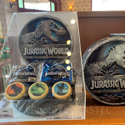 USJ/ジュラシックワールドのプリントクッキー