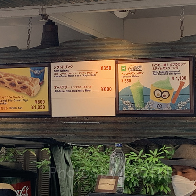 USJ/ソフローズン