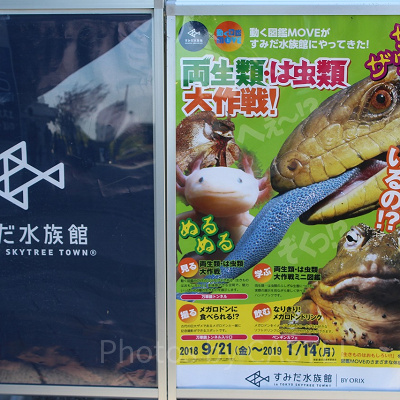 すみだ水族館では季節ごとにさまざまなイベントがあります