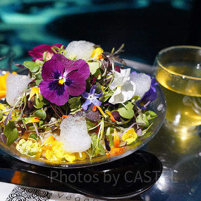 ヴィーガンラーメン花(冷)