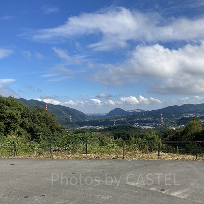 プレジャーフォレストから見た周辺の様子