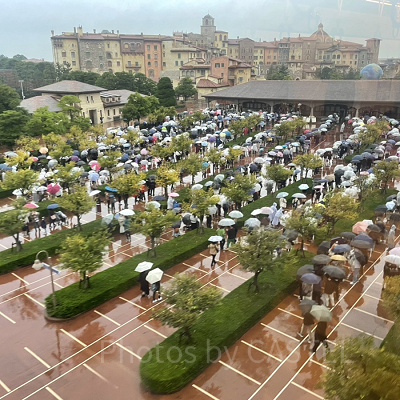 ディズニーシー開園待ちの様子（11月9日）