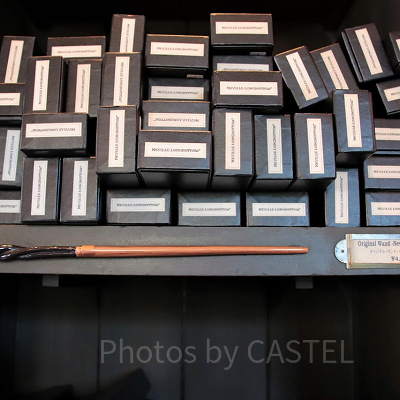 ネビル・ロングボトムの杖