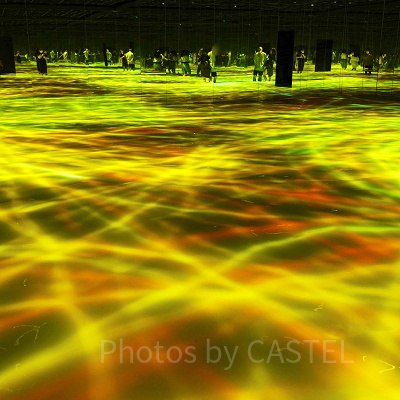 人と共に踊る鯉によって描かれる水面のドローイング