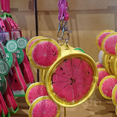 夏にぴったりのスイカのコインケース