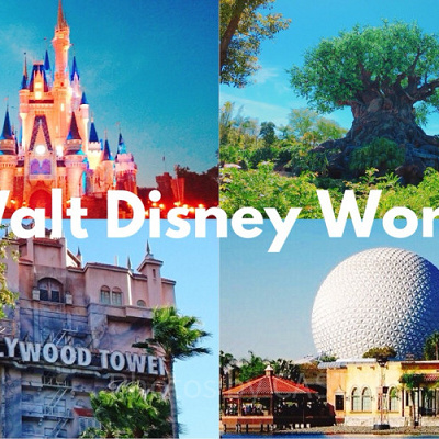 WDW