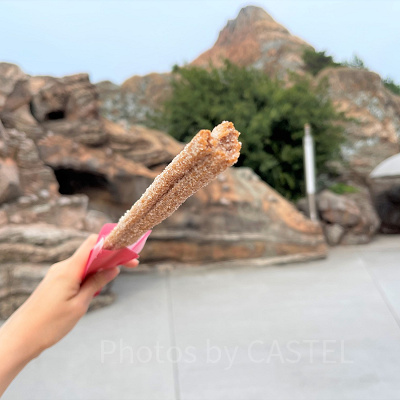 ディズニーシーチュロス：ミッキーチュロスって何？