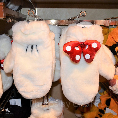 冬場のディズニーに必要なものとは？