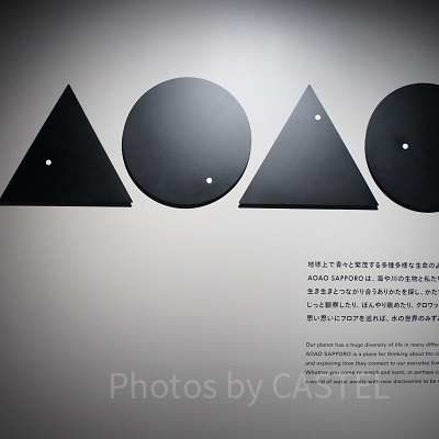 AOAO SAPPORO