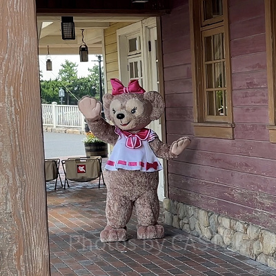 シェリーメイのコスチュームは？