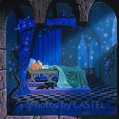 『眠れる森の美女』とは