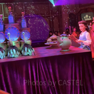 フェザーダスターの4つの名前の違いとは？