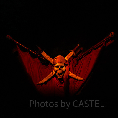 長期休止の理由は？