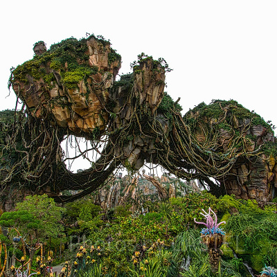 アバターエリアはどんなところ？