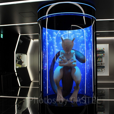 パークにはどんなポケモンコンテンツが登場する？