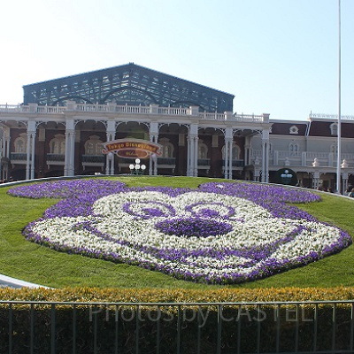 コープライフサービスはどんなサービス？