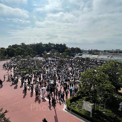1年間でディズニーが混雑する月はいつ？
