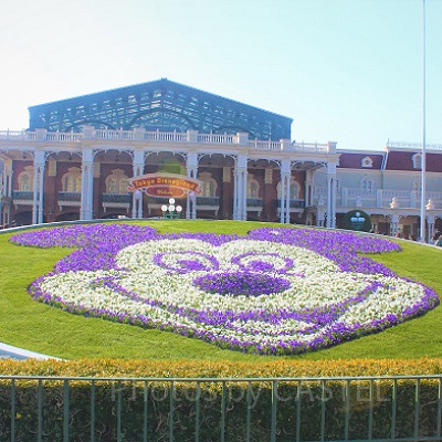 ディズニー開園30分でできること