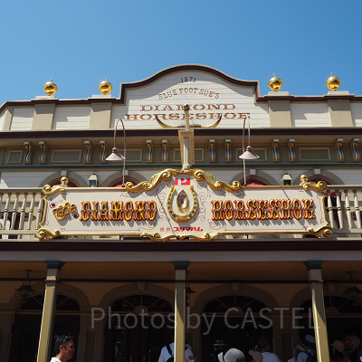 ディズニー年パスを持っているとできること⑦