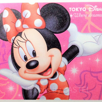 ディズニー年パスを持っているとできること⑧