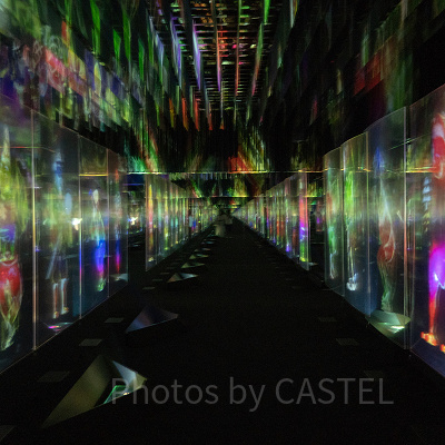 チームラボお台場の移転後のオープン予定は？