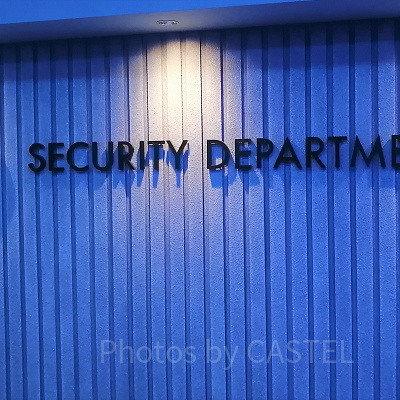 ロッキーはいつから登場している？