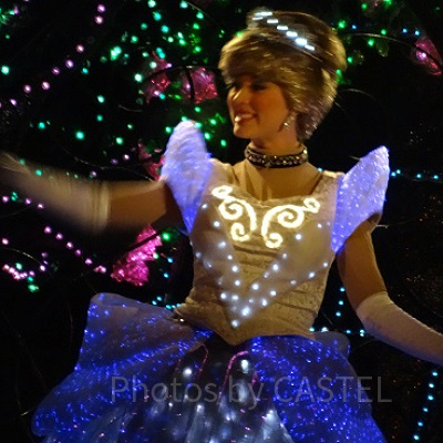 シンデレラが落とした靴は左右どちら？