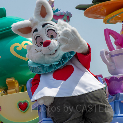 ホワイトラビット