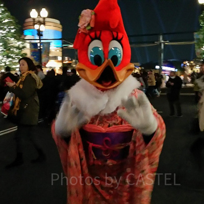 お正月は着物姿のウィニーも登場する／USJ