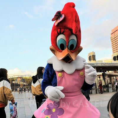 グリーティング中のウィニー・ウッドペッカー／USJ