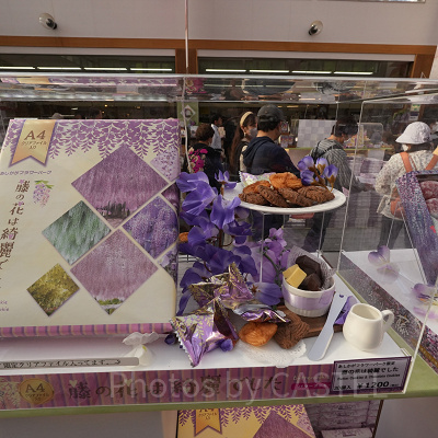 藤の花は綺麗でした（1,200円）