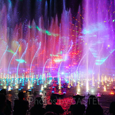 カリフォルニア・アナハイムディズニーランドリゾートのショー：ワールド・オブ・カラー