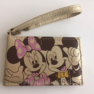 年パスホルダー