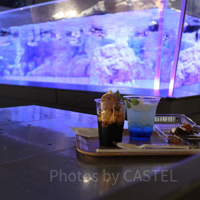 ペンギンの水槽を眺めながらスイーツやビール、軽食が楽しめます