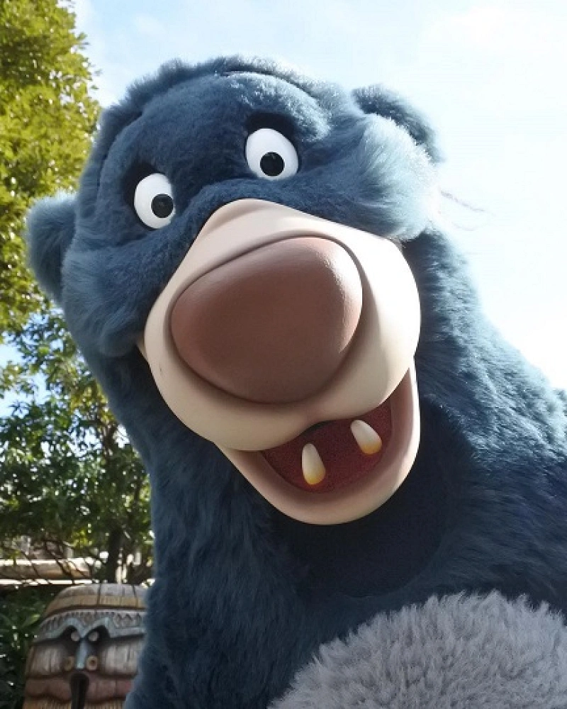 ディズニーのくま】あのキャラクターの名前は？ディズニーストア