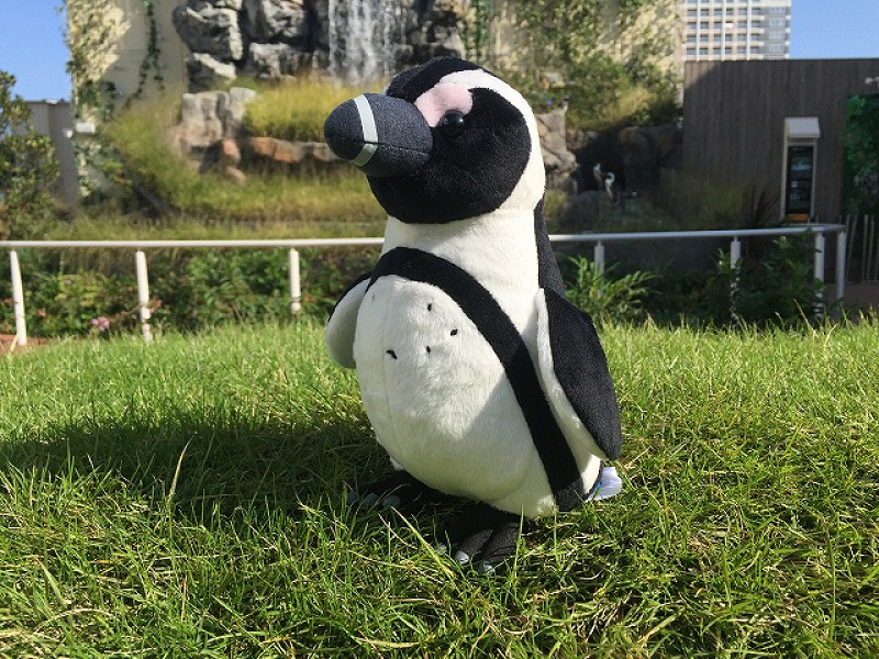 【サンシャイン水族館】オリジナルお土産＆限定グッズ！ペンギンぬいぐるみやお菓子など7選まとめ！