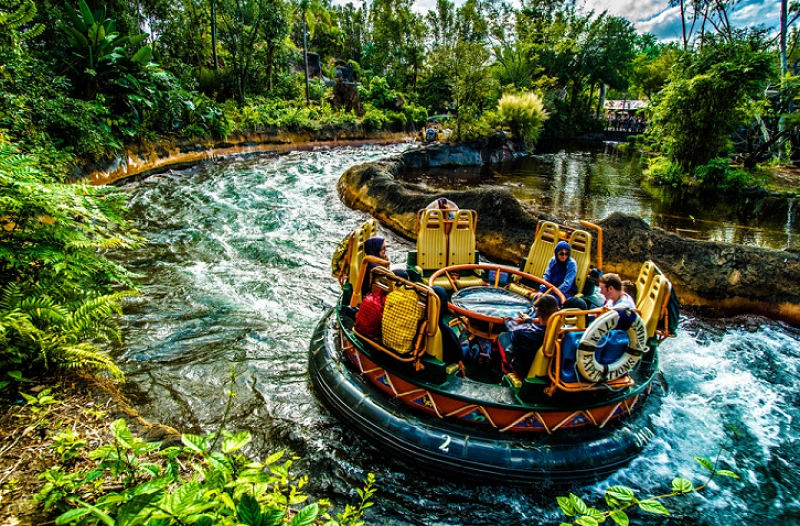torrent-attraction-p9267.webp