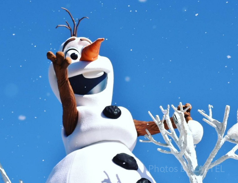 【アナ雪の愛されキャラ】雪だるまの「オラフ」徹底解説！キャラ紹介や会える場所まとめ！