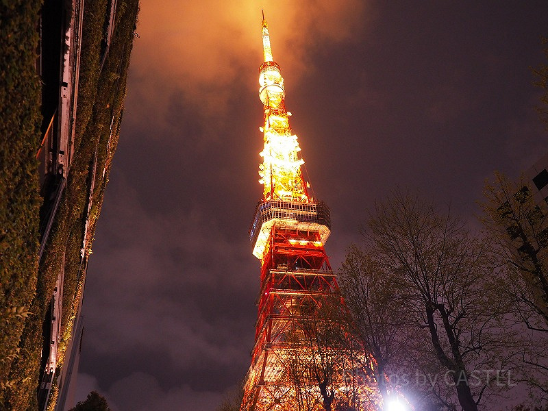 【2026】東京タワーを徹底解説！料金＆見どころまとめ！メインデッキ＆トップデッキツアー情報も！