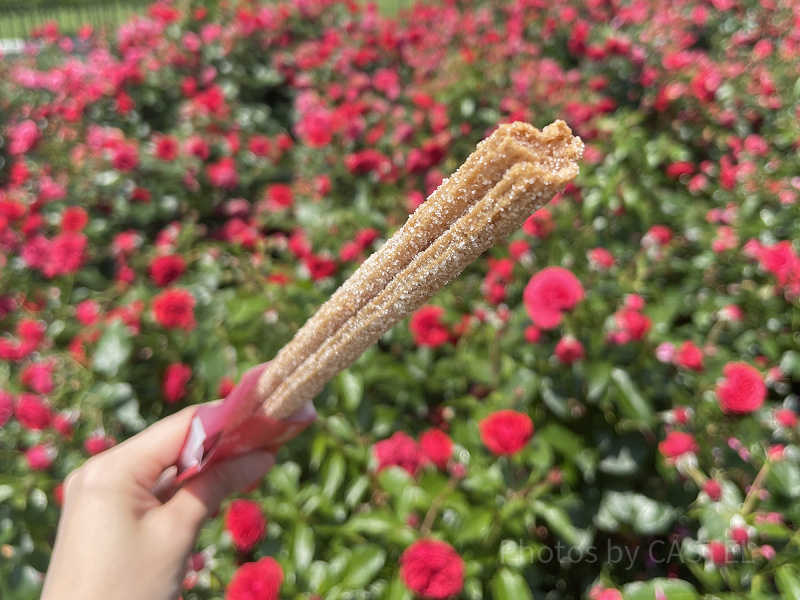 【2026年5月最新】ディズニーのチュロスは全6種類！販売場所&値段を地図で解説！
